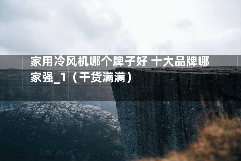家用冷风机哪个牌子好 十大品牌哪家强_1（干货满满）